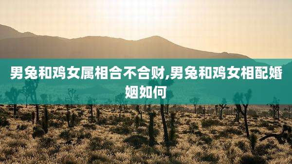 男兔和鸡女属相合不合财,男兔和鸡女相配婚姻如何