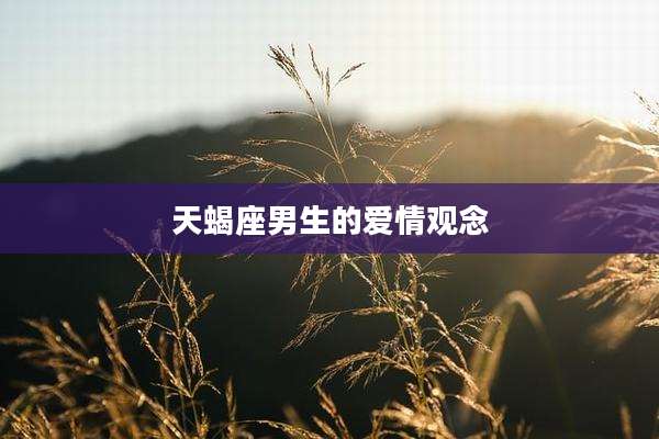 天蝎座男生的爱情观念