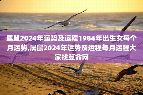 属鼠2024年运势及运程1984年出生女每个月运势,属鼠2024年运势及运程每月运程大家找算命网
