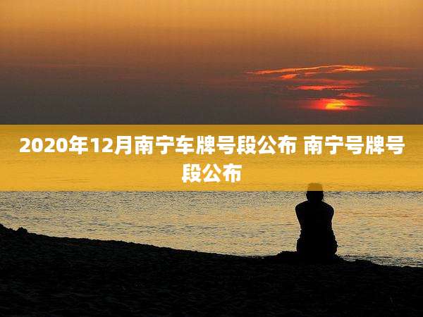 2020年12月南宁车牌号段公布 南宁号牌号段公布
