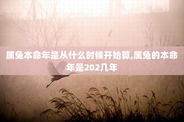属兔本命年是从什么时候开始算,属兔的本命年是202几年