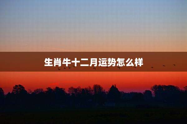 生肖牛十二月运势怎么样
