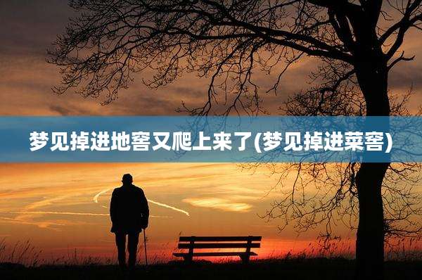 梦见掉进地窖又爬上来了(梦见掉进菜窖)