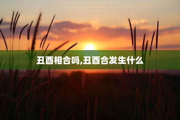 丑酉相合吗,丑酉合发生什么