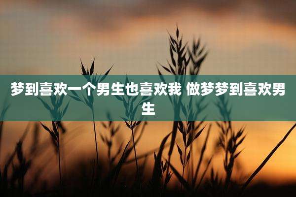 梦到喜欢一个男生也喜欢我 做梦梦到喜欢男生