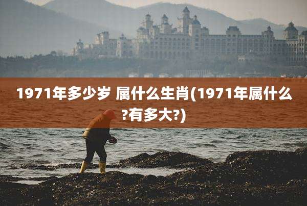 1971年多少岁 属什么生肖(1971年属什么?有多大?)