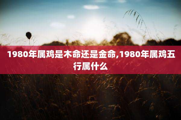 1980年属鸡是木命还是金命,1980年属鸡五行属什么