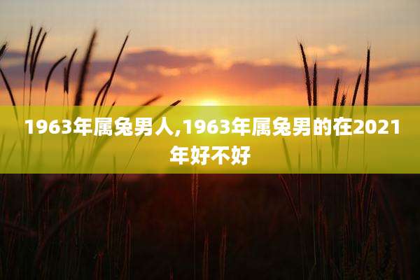 1963年属兔男人,1963年属兔男的在2021年好不好
