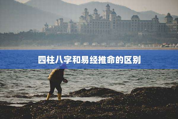 四柱八字和易经推命的区别