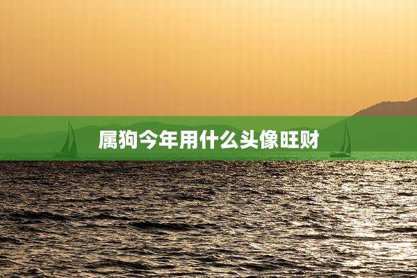 属狗今年用什么头像旺财