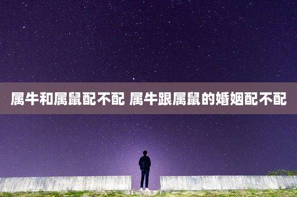 属牛和属鼠配不配 属牛跟属鼠的婚姻配不配