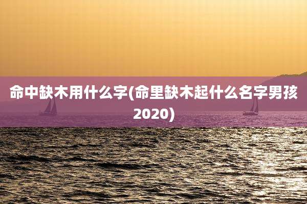 命中缺木用什么字(命里缺木起什么名字男孩2020)