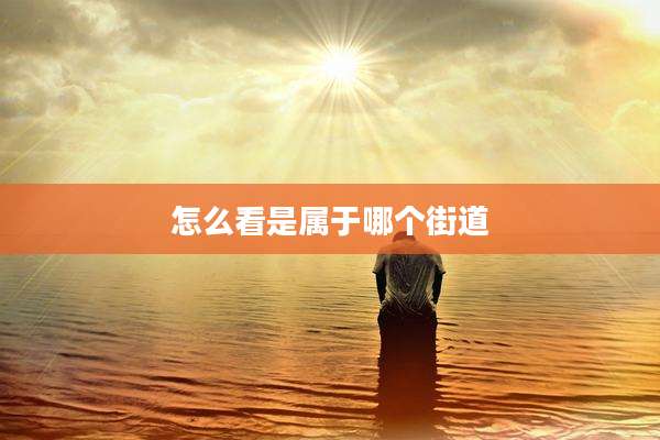 怎么看是属于哪个街道
