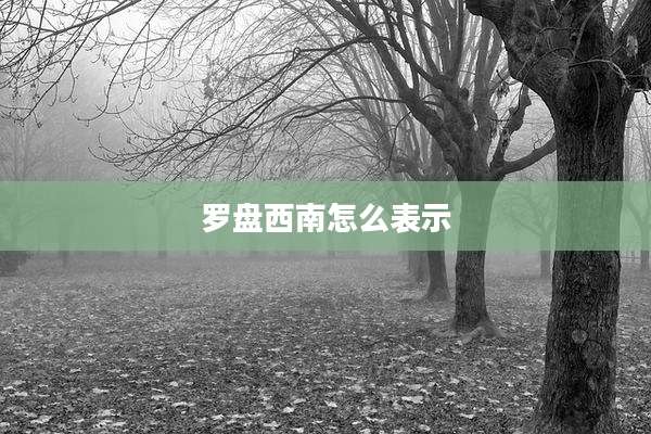 罗盘西南怎么表示