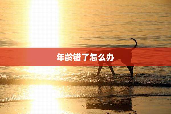 年龄错了怎么办