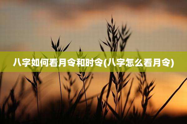 八字如何看月令和时令(八字怎么看月令)