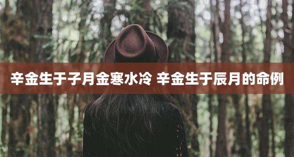 辛金生于子月金寒水冷 辛金生于辰月的命例