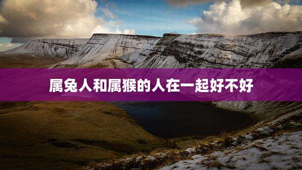 属兔人和属猴的人在一起好不好