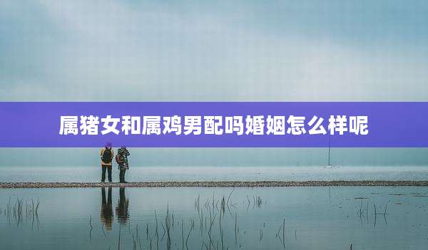 属猪女和属鸡男配吗婚姻怎么样呢