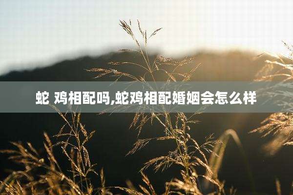 蛇 鸡相配吗,蛇鸡相配婚姻会怎么样