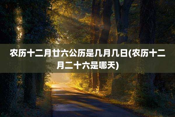 农历十二月廿六公历是几月几日(农历十二月二十六是哪天)