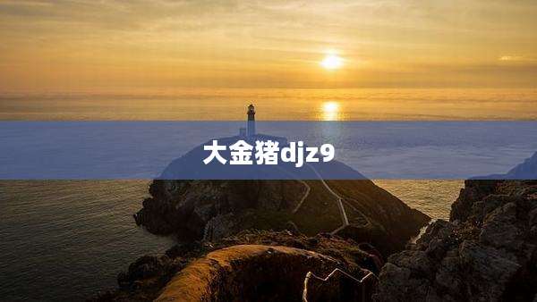 大金猪djz9