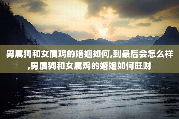 男属狗和女属鸡的婚姻如何,到最后会怎么样,男属狗和女属鸡的婚姻如何旺财