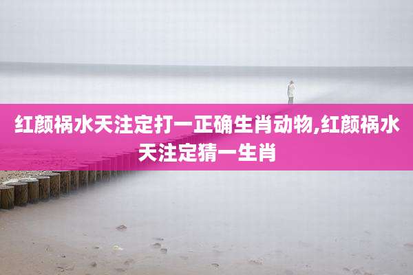 红颜祸水天注定打一正确生肖动物,红颜祸水天注定猜一生肖