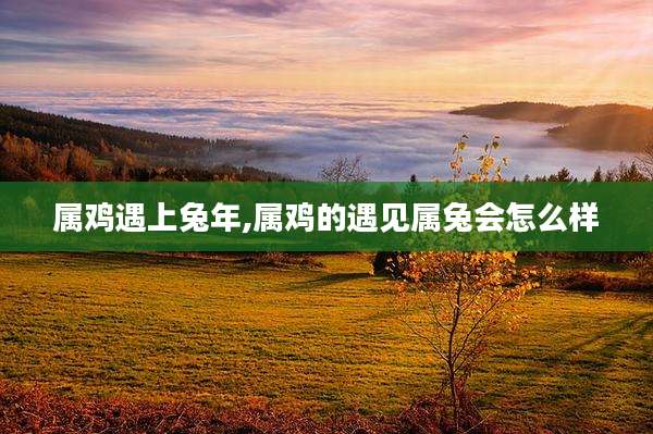 属鸡遇上兔年,属鸡的遇见属兔会怎么样