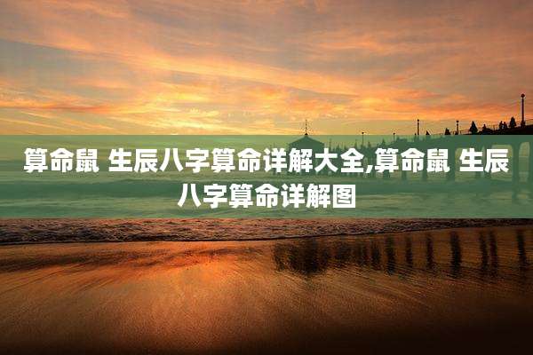 算命鼠 生辰八字算命详解大全,算命鼠 生辰八字算命详解图