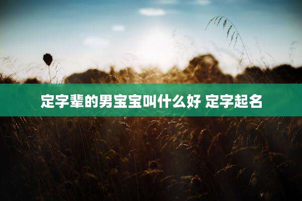定字辈的男宝宝叫什么好 定字起名