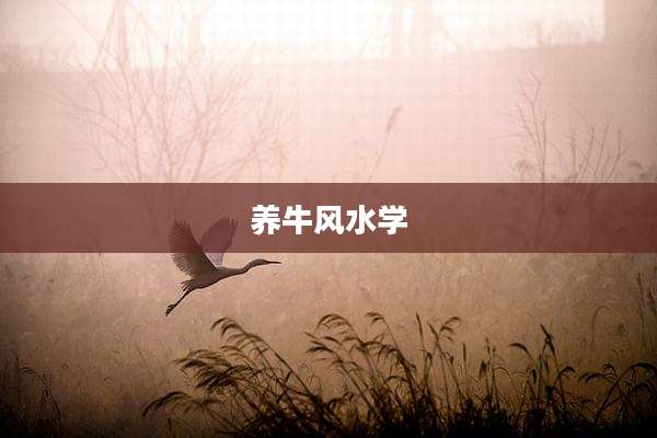 养牛风水学