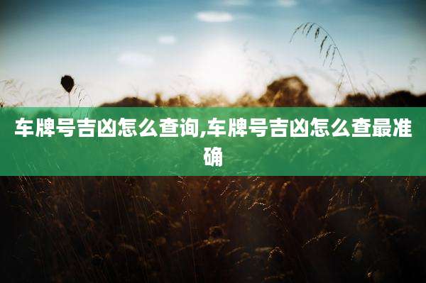车牌号吉凶怎么查询,车牌号吉凶怎么查最准确