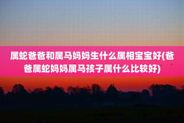 属蛇爸爸和属马妈妈生什么属相宝宝好(爸爸属蛇妈妈属马孩子属什么比较好)
