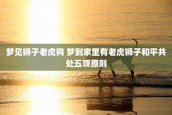 梦见狮子老虎狗 梦到家里有老虎狮子和平共处五项原则