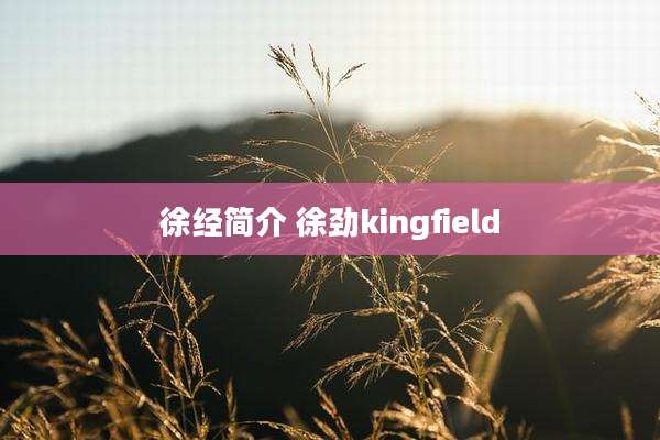 徐经简介 徐劲kingfield
