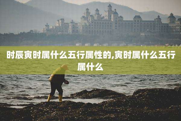 时辰寅时属什么五行属性的,寅时属什么五行属什么
