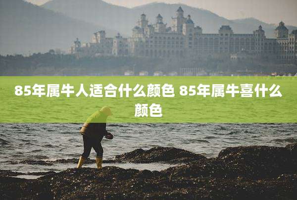 85年属牛人适合什么颜色 85年属牛喜什么颜色
