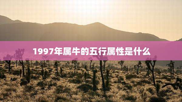 1997年属牛的五行属性是什么