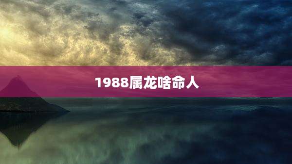 1988属龙啥命人