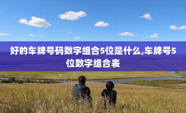 好的车牌号码数字组合5位是什么,车牌号5位数字组合表