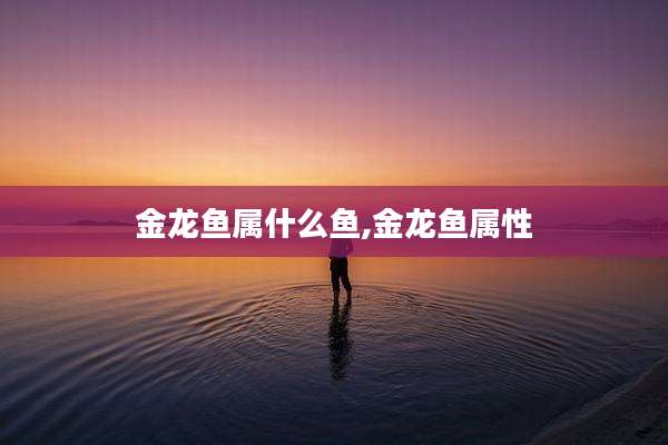 金龙鱼属什么鱼,金龙鱼属性