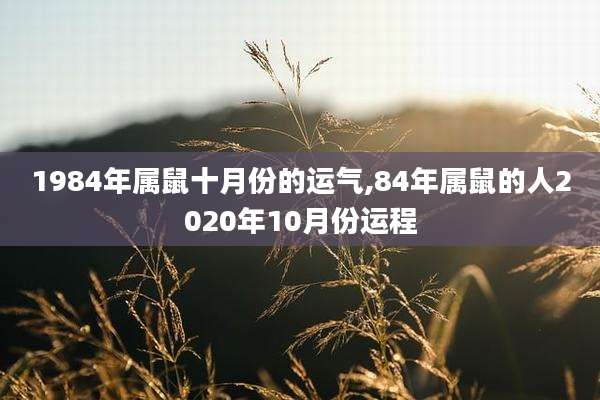 1984年属鼠十月份的运气,84年属鼠的人2020年10月份运程