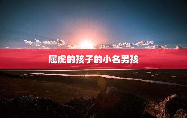 属虎的孩子的小名男孩