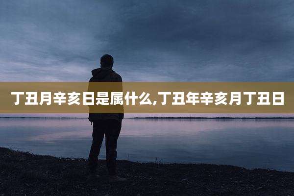 丁丑月辛亥日是属什么,丁丑年辛亥月丁丑日