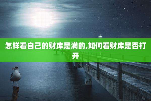 怎样看自己的财库是满的,如何看财库是否打开