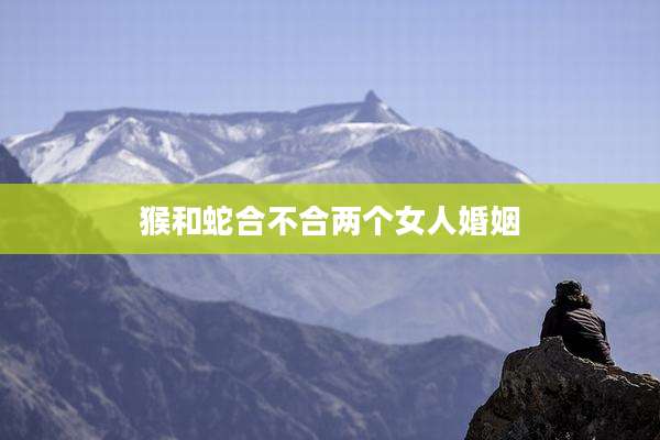 猴和蛇合不合两个女人婚姻