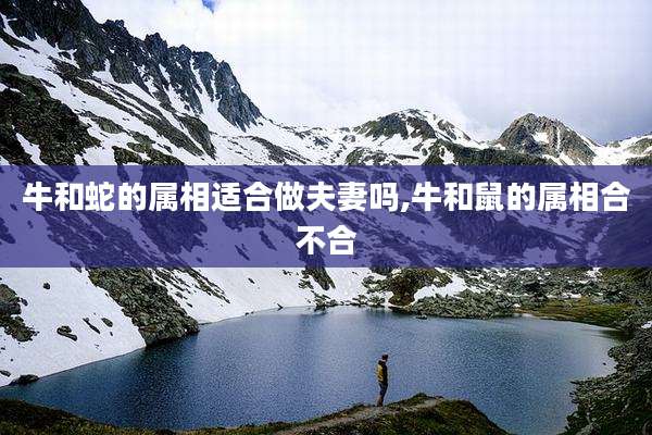 牛和蛇的属相适合做夫妻吗,牛和鼠的属相合不合