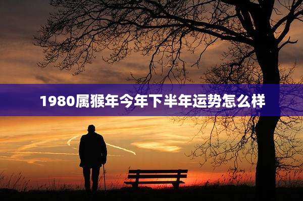 1980属猴年今年下半年运势怎么样
