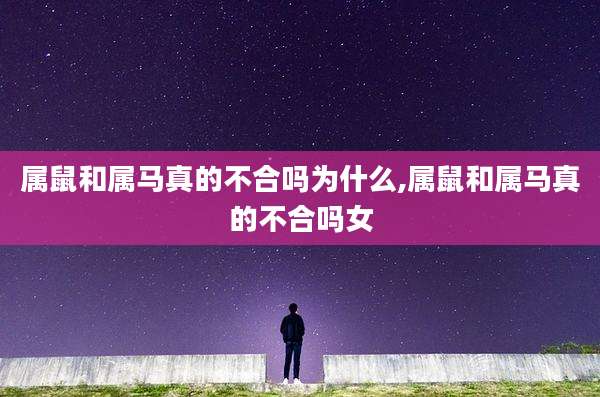 属鼠和属马真的不合吗为什么,属鼠和属马真的不合吗女